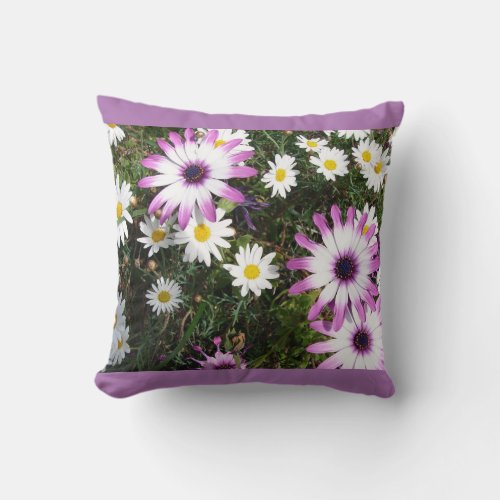 Pink White Daisy Daisies Flower Floral Cushion