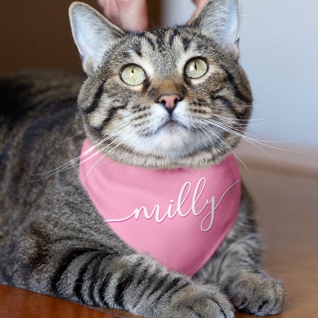 Pink White Elegant Calligraphy Script Name Cat Pet Bandana Collar (Creator Uploaded)