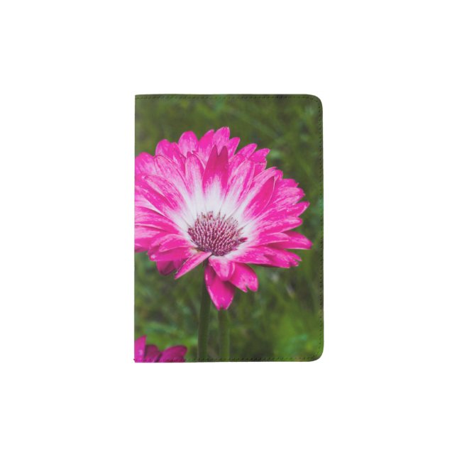 Pink & White Gerbera Daisy in Bloom Passport Holder (Front)