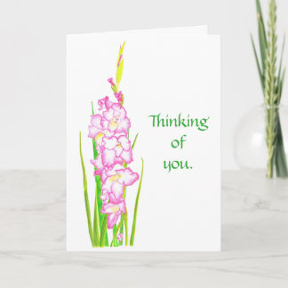 Pink White Gladiola Flower Thinking of you Cards