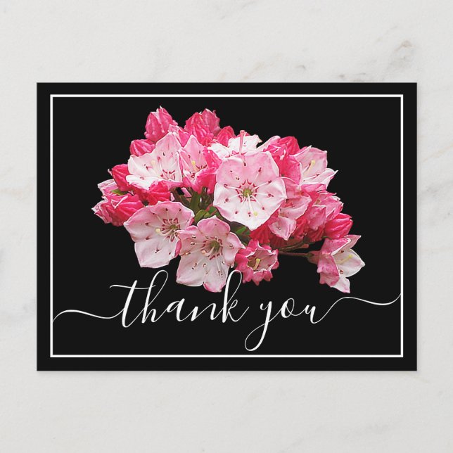 Pink/White Mountain Laurel Black Back Thank You Postcard (Front)