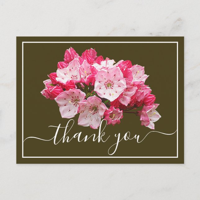 Pink/White Mountain Laurel Olive Back Thank You Postcard (Front)