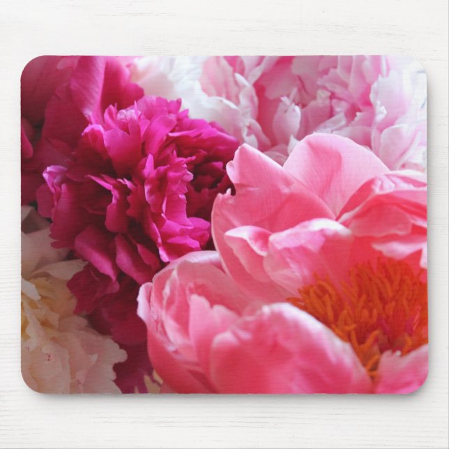 Pink & White Peonies in Bloom - Mousepad (Front)