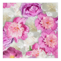 Pink White Peony Rose - Romantic Floral