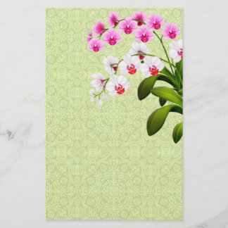 Pink White Phalaenopsis Orchid Flowers Stationery