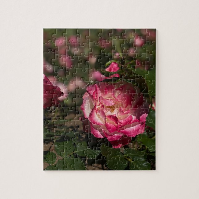 Pink & White Rose Jigsaw Puzzle (Vertical)