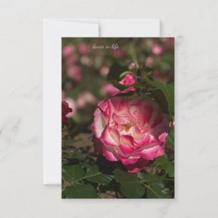 Pink & White Rose Note Card
