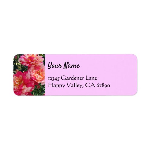 Pink White Roses Editable Return Address Labels
