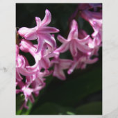 Pink-White Spring Flowers (Front)