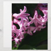 Pink-White Spring Flowers (Front/Back)