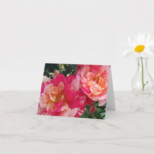 Pink White Striped Roses Blank Photo Art Note Card