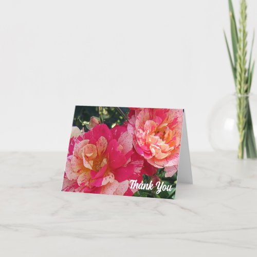 Pink White Striped Roses Thank You Note Card