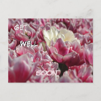 Pink White Tulips Pattern Get Well Soon Postcard