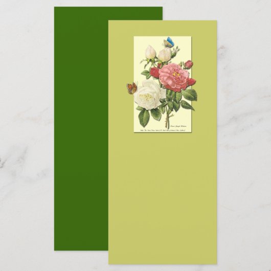 Pink White Vintage Botanical Roses (Front/Back)