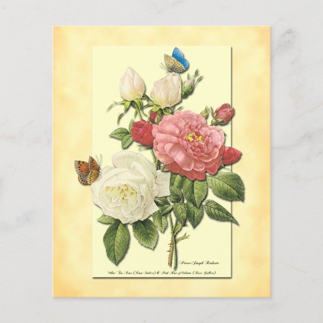 Pink White Vintage Botanical Roses Flyer Template (Front)