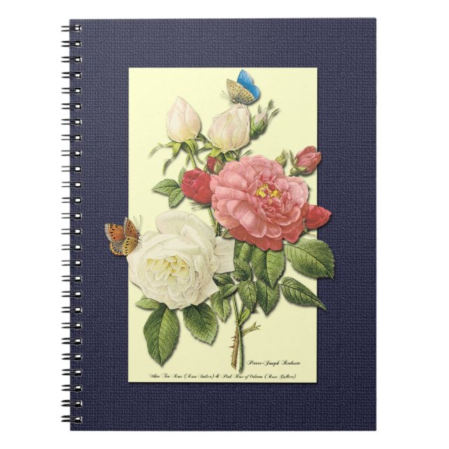 Pink White Vintage Botanical Roses Notebook (Front)