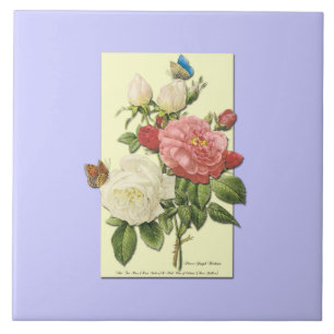 Pink White Vintage Botanical Roses Tile