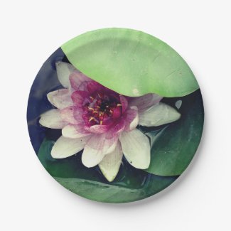 Pink ,White Water Lilly, Lotus Flower  Paper Plate