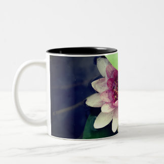 Pink ,White, Water Lilly ,Lotus Flower Photo  Mug