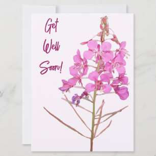 Pink wild flowers get well soon love greetings art holiday card