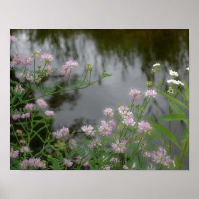 Pink Wild Flowers Near Brook Poster (Front)