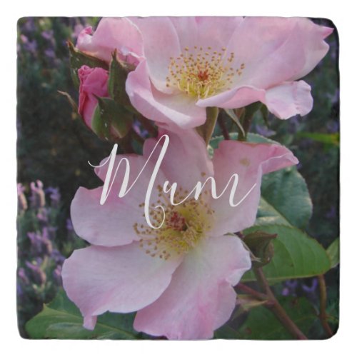 Pink Wild Rose Flower floral Photo Blush Pink Mom Trivet