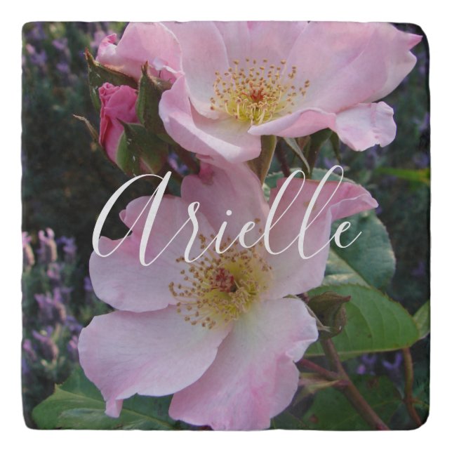 Pink Wild Rose Flower floral Photo Blush Pink Trivet (Front)