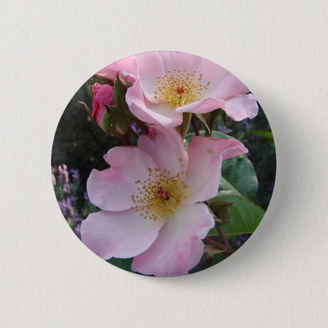 Pink Wild Rose Flower floral Photo Button (Front)