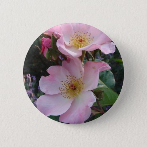 Pink Wild Rose Flower floral Photo Button