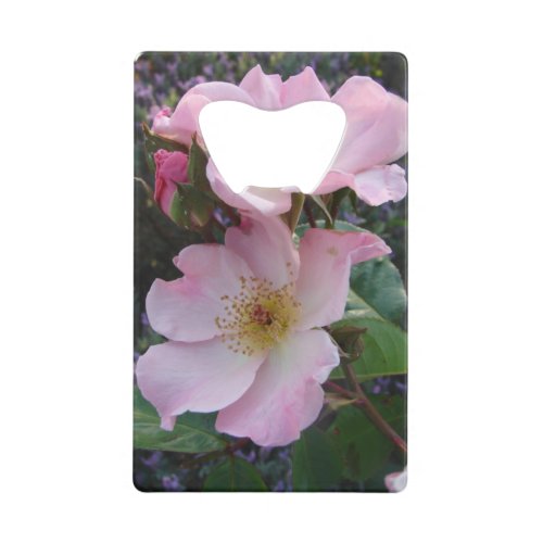 Pink Wild Rose Flower floral Photo Credit Card Bottle Opener