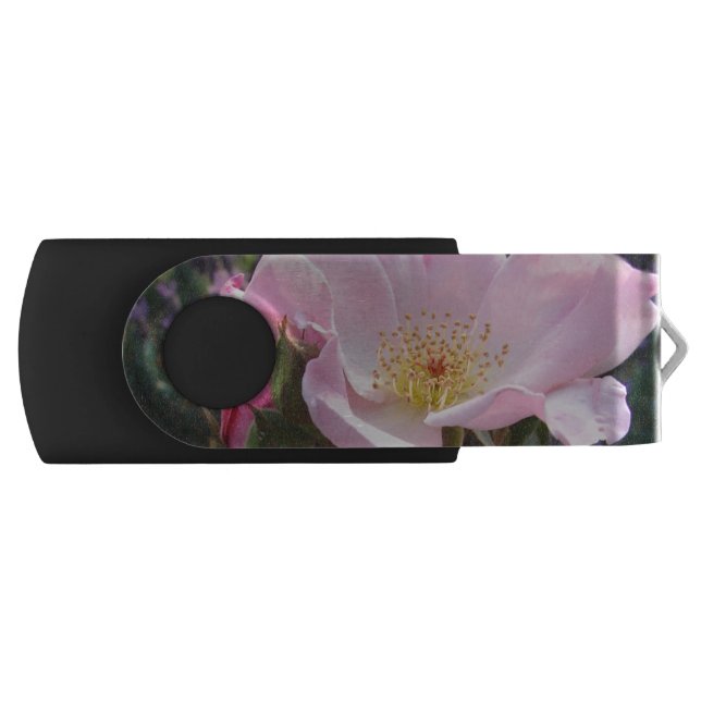 Pink Wild Rose Flower floral Photo Flash Drive (Front)