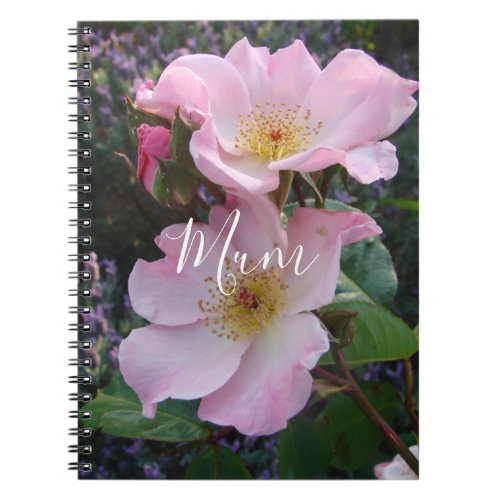 Pink Wild Rose Flower floral Photo Mom Mothers Day Notebook