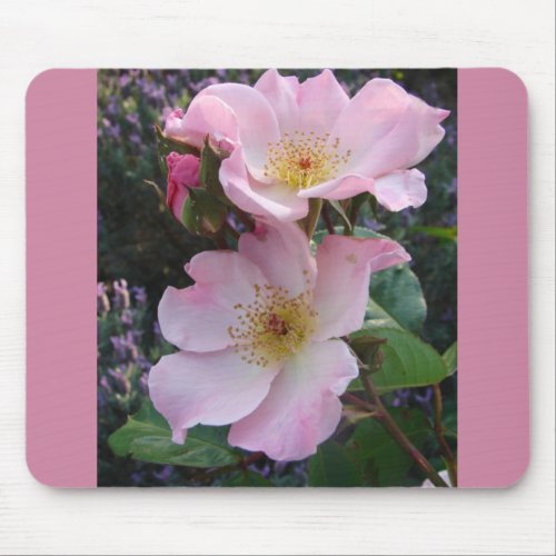 Pink Wild Rose Flower floral Photo Mouse Pad