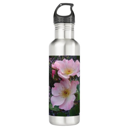 Pink Wild Rose Flower floral Photo Stainless Steel Water Bottle