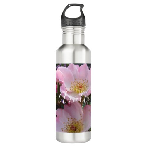 Pink Wild Rose Flower floral Photo Stainless Steel Water Bottle