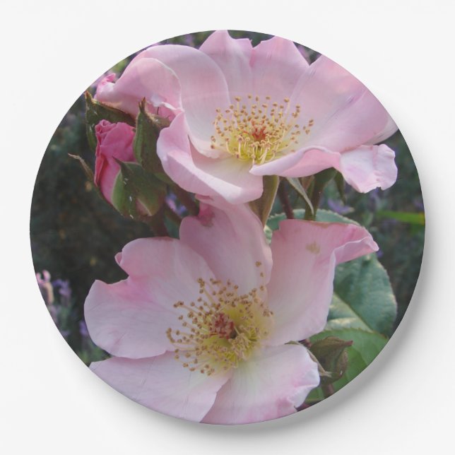 Pink Wild Rose Flower Pattern Paper Party Plate (Front)