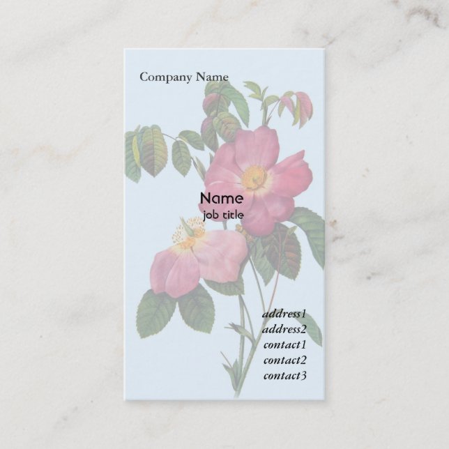Pink wild rose  flower, Pierre Joseph Redouté Business Card (Front)