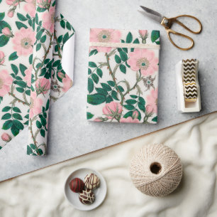 Pink Wild Rose Flowers & Green Leaves Pattern Wrapping Paper