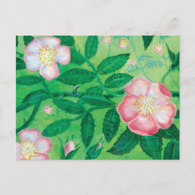 Pink Wild Rose Flowers Secret Garden  Postcard (Front)