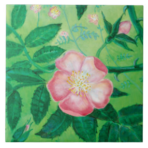 Pink Wild Rose Illustration  Ceramic Tile