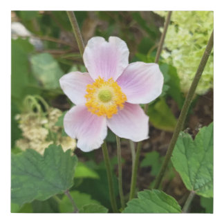 Pink Wildflower Canvas Print | Botanical Floral Wa