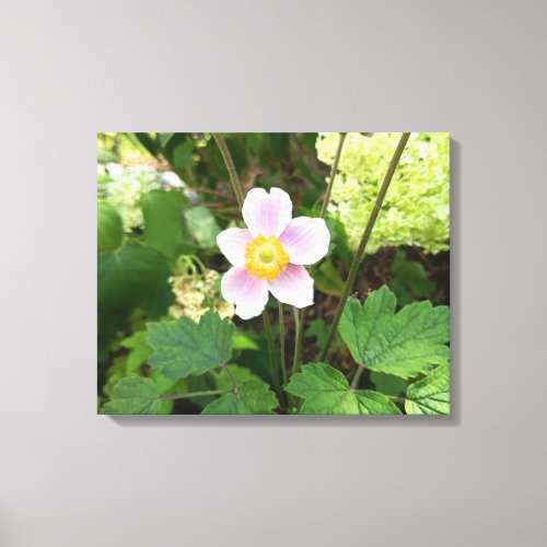 Pink Wildflower Canvas Print | Botanical Floral Wa