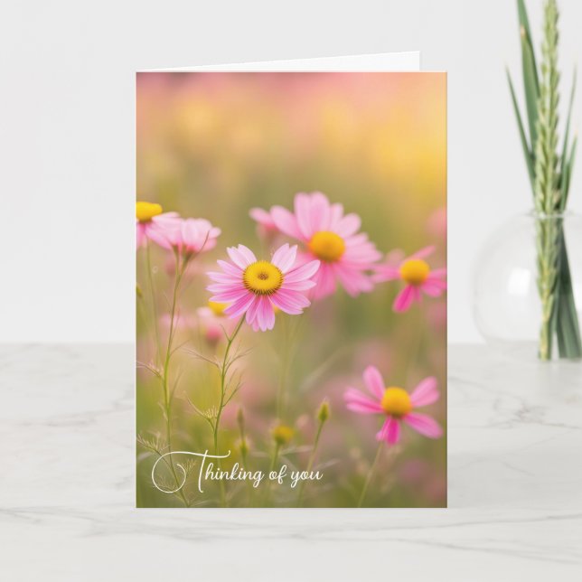 Pink Wildflower Daisies In a Field Card (Front)
