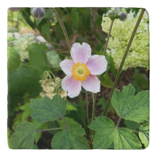 Pink Wildflower Trivet | Botanical Floral Kitchen