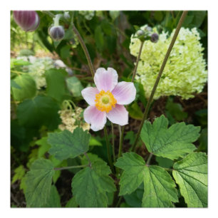 Pink Wildflower Wall Sign Botanical Floral Home
