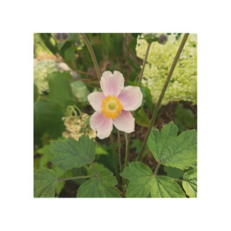Pink Wildflower Wood Wall Art | Botanical Floral W