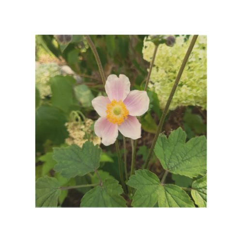 Pink Wildflower Wood Wall Art | Botanical Floral W