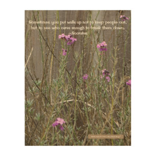 Pink Wildflowers Against Fence (Socrates Quote) Wood Wall Art