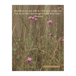 Pink Wildflowers Against Fence (Socrates Quote) Wood Wall Art