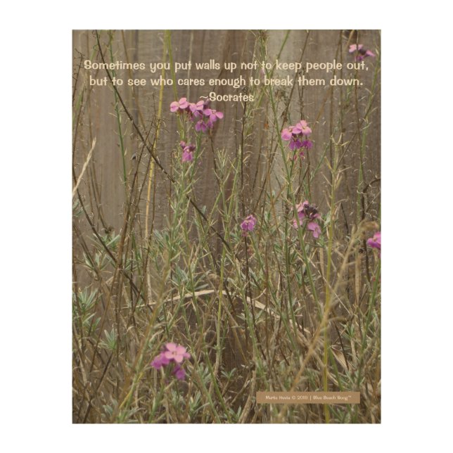 Pink Wildflowers Against Fence (Socrates Quote) Wood Wall Art (Front)